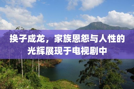 换子成龙，家族恩怨与人性的光辉展现于电视剧中