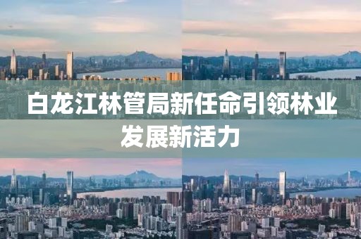 白龙江林管局新任命引领林业发展新活力