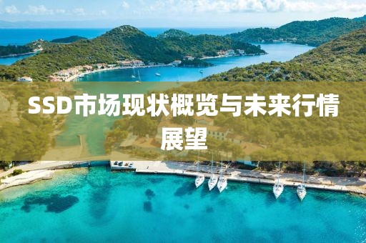 SSD市场现状概览与未来行情展望