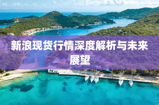 新浪现货行情深度解析与未来展望