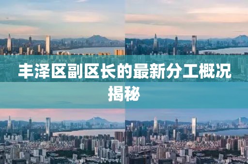 丰泽区副区长的最新分工概况揭秘