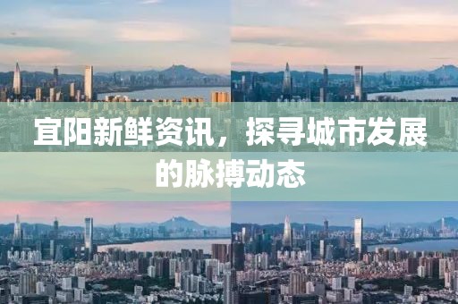 宜阳新鲜资讯，探寻城市发展的脉搏动态