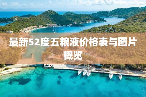 最新52度五粮液价格表与图片概览