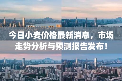 今日小麦价格最新消息，市场走势分析与预测报告发布！