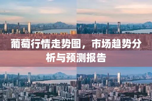 葡萄行情走势图，市场趋势分析与预测报告