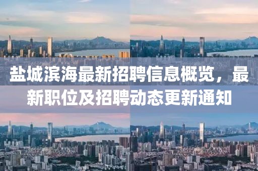 盐城滨海最新招聘信息概览，最新职位及招聘动态更新通知