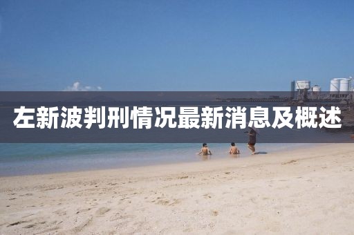 左新波判刑情况最新消息及概述