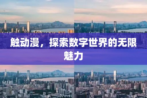 触动漫，探索数字世界的无限魅力