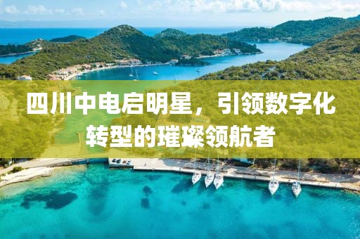 四川中电启明星，引领数字化转型的璀璨领航者
