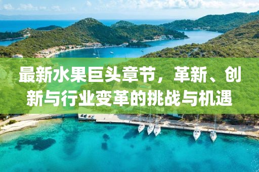 历依波 第3页