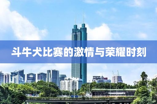 斗牛犬比赛的激情与荣耀时刻