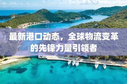 最新港口动态，全球物流变革的先锋力量引领者