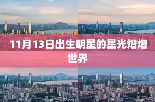 11月13日出生明星的星光熠熠世界