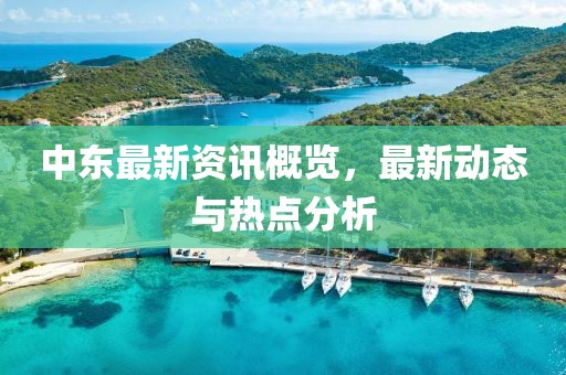 中东最新资讯概览，最新动态与热点分析