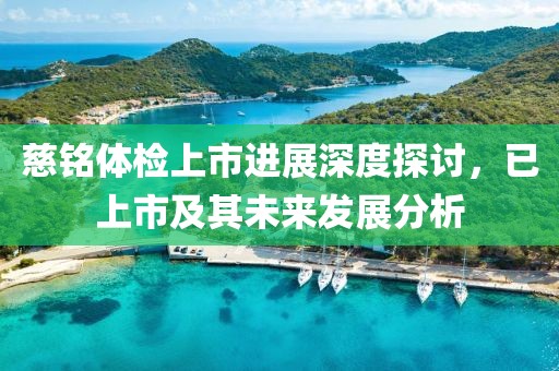 慈铭体检上市进展深度探讨，已上市及其未来发展分析