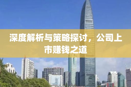 深度解析与策略探讨，公司上市赚钱之道