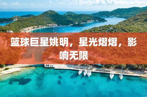 篮球巨星姚明，星光熠熠，影响无限