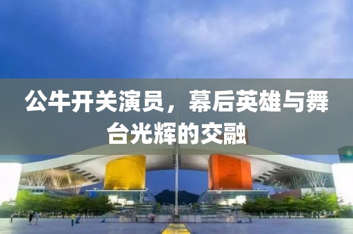 公牛开关演员，幕后英雄与舞台光辉的交融