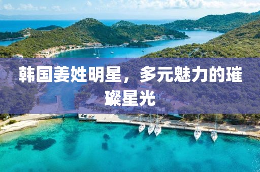 韩国姜姓明星，多元魅力的璀璨星光