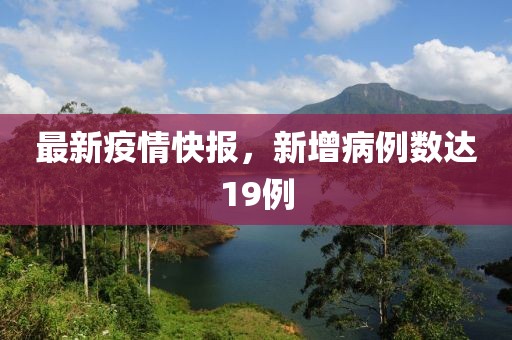 最新疫情快报，新增病例数达19例