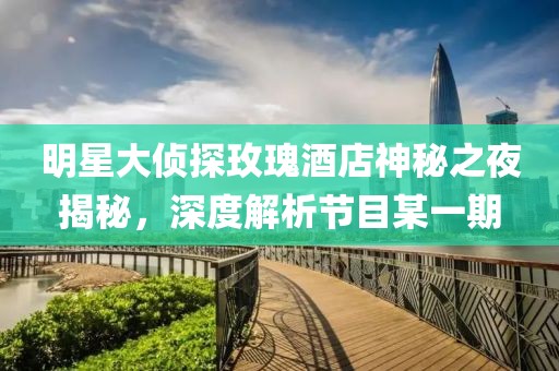 明星大侦探玫瑰酒店神秘之夜揭秘，深度解析节目某一期
