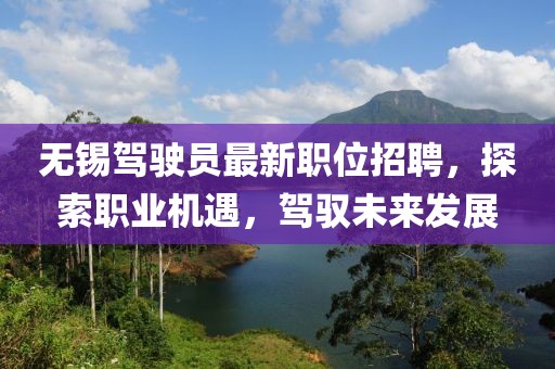 无锡驾驶员最新职位招聘，探索职业机遇，驾驭未来发展