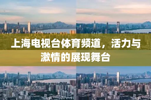 上海电视台体育频道，活力与激情的展现舞台