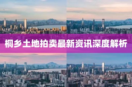 桐乡土地拍卖最新资讯深度解析