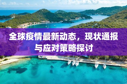 全球疫情最新动态，现状通报与应对策略探讨
