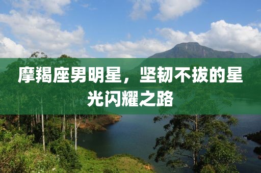 摩羯座男明星，坚韧不拔的星光闪耀之路