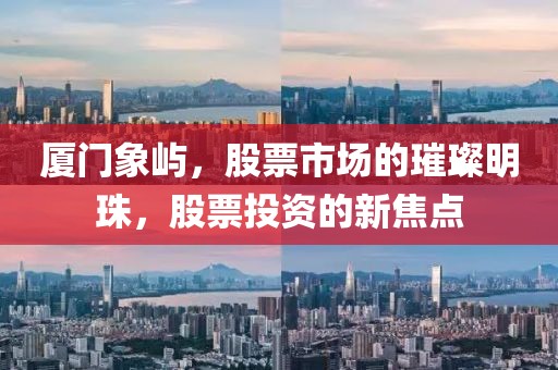 厦门象屿，股票市场的璀璨明珠，股票投资的新焦点
