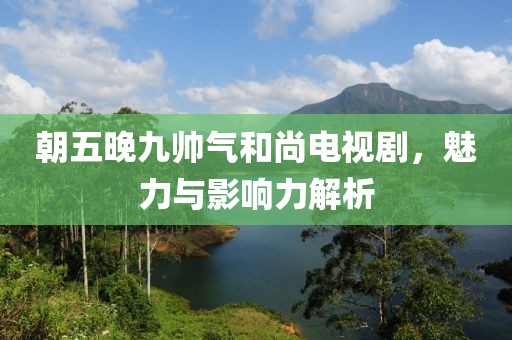 朝五晚九帅气和尚电视剧，魅力与影响力解析