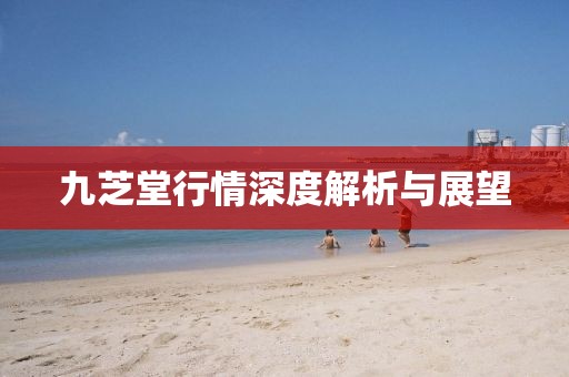 九芝堂行情深度解析与展望