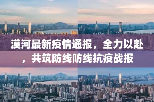 漠河最新疫情通报，全力以赴，共筑防线防线抗疫战报