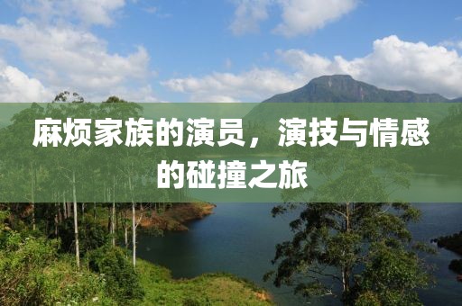 麻烦家族的演员，演技与情感的碰撞之旅