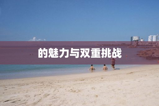 的魅力与双重挑战