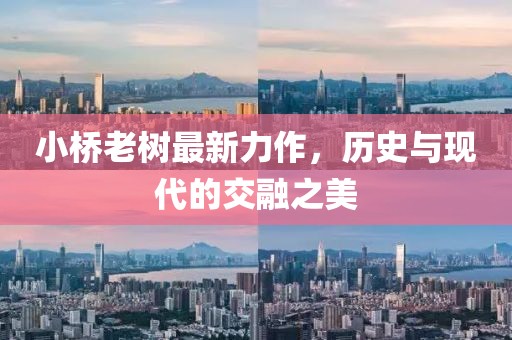 小桥老树最新力作，历史与现代的交融之美
