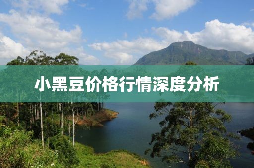 小黑豆价格行情深度分析