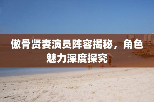 傲骨贤妻演员阵容揭秘，角色魅力深度探究