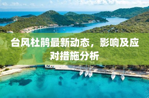 台风杜鹃最新动态，影响及应对措施分析
