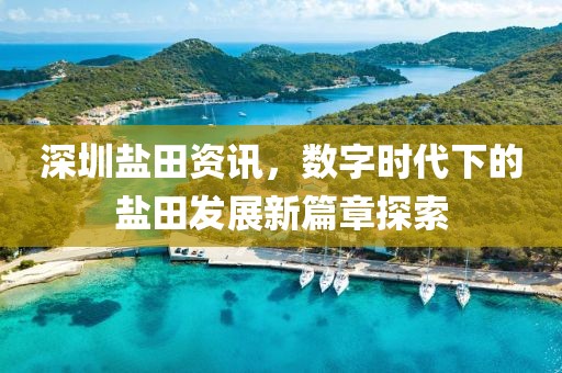 深圳盐田资讯，数字时代下的盐田发展新篇章探索