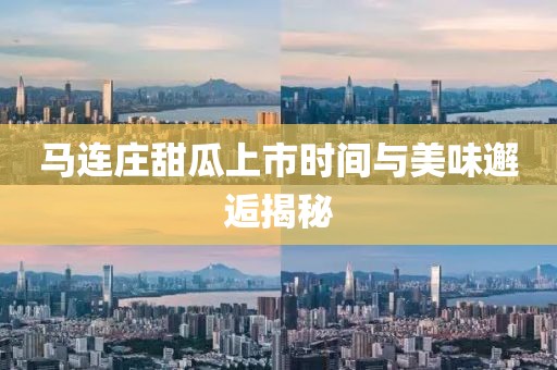 马连庄甜瓜上市时间与美味邂逅揭秘