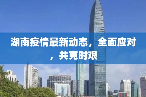 湖南疫情最新动态，全面应对，共克时艰