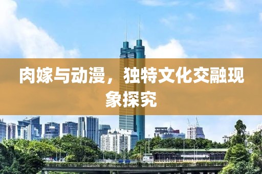 肉嫁与动漫，独特文化交融现象探究