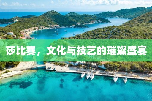 莎比赛，文化与技艺的璀璨盛宴