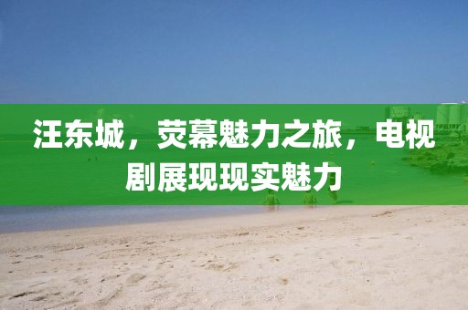 汪东城，荧幕魅力之旅，电视剧展现现实魅力
