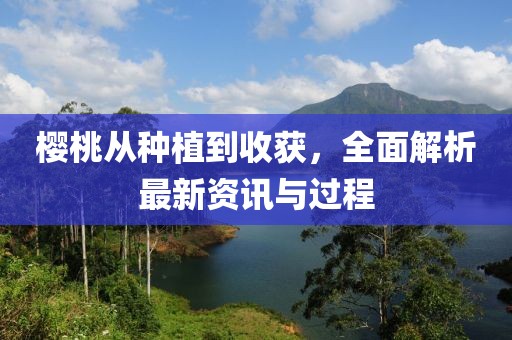 樱桃从种植到收获，全面解析最新资讯与过程