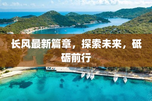 长风最新篇章，探索未来，砥砺前行