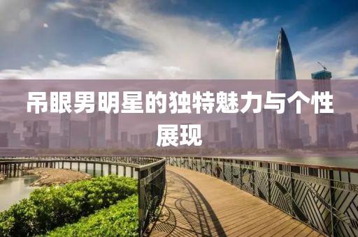 吊眼男明星的独特魅力与个性展现