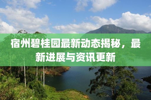 宿州碧桂园最新动态揭秘，最新进展与资讯更新